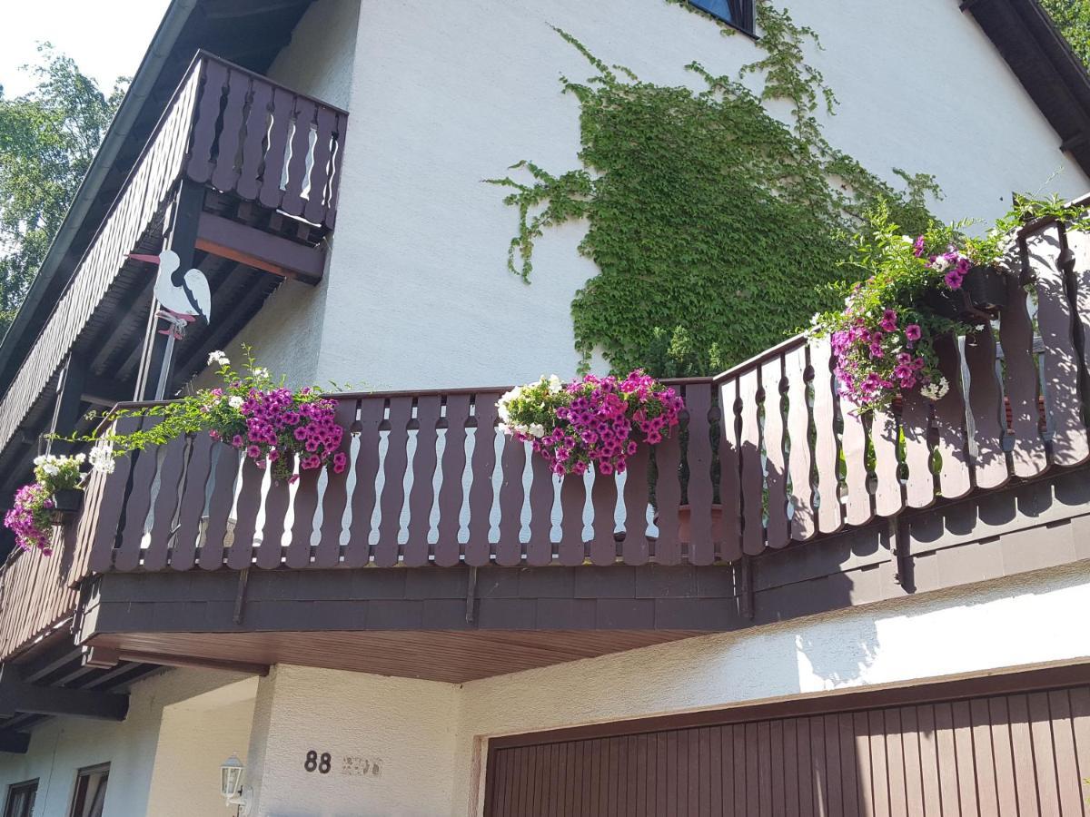 Gaestehaus Gerhardt Schweigen-Rechtenbach Exterior foto
