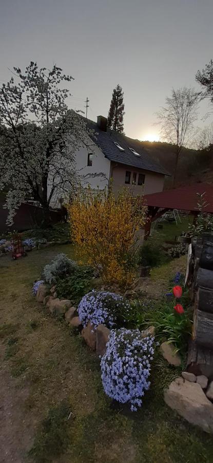 Gaestehaus Gerhardt Schweigen-Rechtenbach Exterior foto