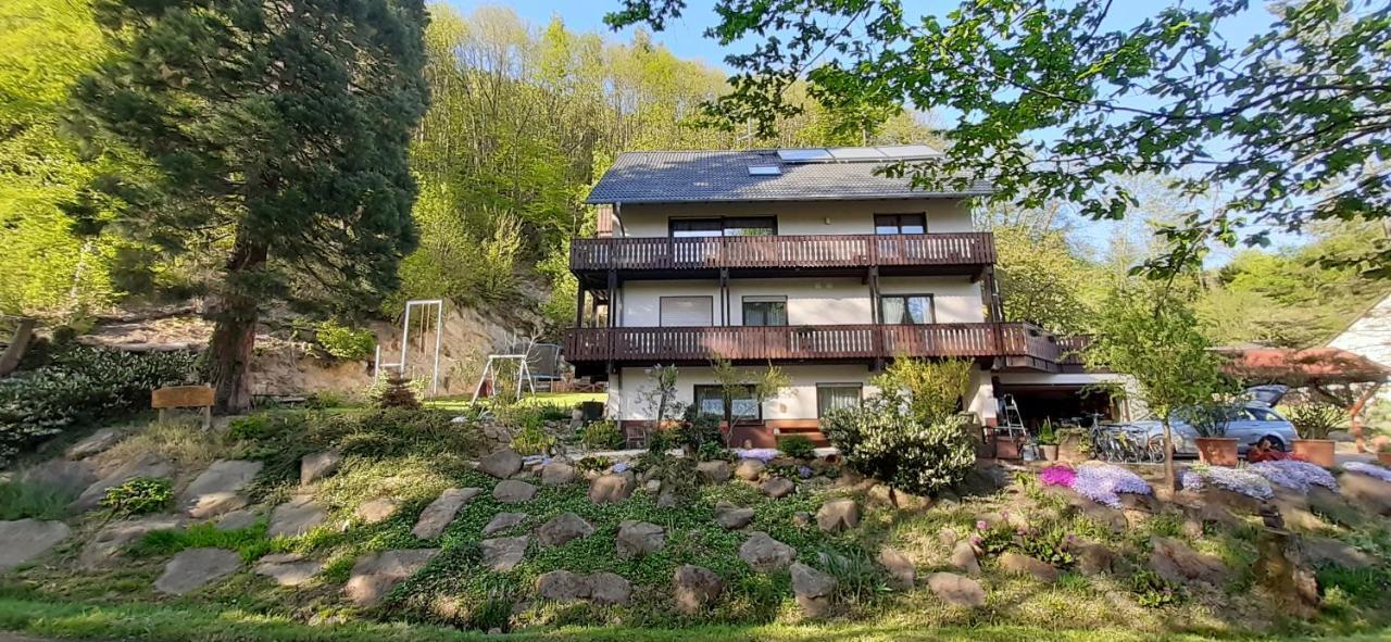 Gaestehaus Gerhardt Schweigen-Rechtenbach Exterior foto